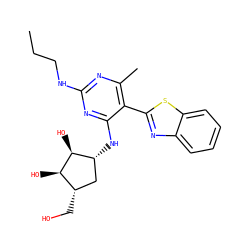 CCCNc1nc(C)c(-c2nc3ccccc3s2)c(N[C@@H]2C[C@H](CO)[C@@H](O)[C@H]2O)n1 ZINC000084619197
