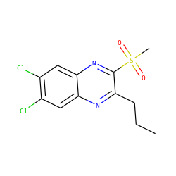 CCCc1nc2cc(Cl)c(Cl)cc2nc1S(C)(=O)=O ZINC000028950983
