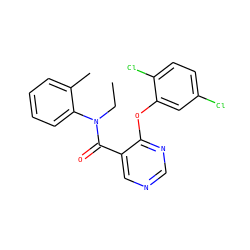 CCN(C(=O)c1cncnc1Oc1cc(Cl)ccc1Cl)c1ccccc1C ZINC000095575048