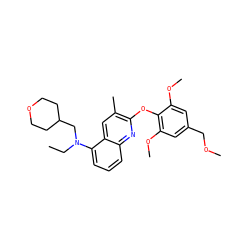 CCN(CC1CCOCC1)c1cccc2nc(Oc3c(OC)cc(COC)cc3OC)c(C)cc12 ZINC000084757431