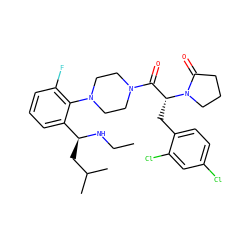 CCN[C@@H](CC(C)C)c1cccc(F)c1N1CCN(C(=O)[C@@H](Cc2ccc(Cl)cc2Cl)N2CCCC2=O)CC1 ZINC000028823893