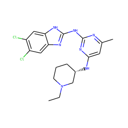 CCN1CCC[C@H](Nc2cc(C)nc(Nc3nc4cc(Cl)c(Cl)cc4[nH]3)n2)C1 ZINC000001726641