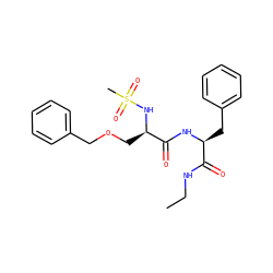 CCNC(=O)[C@H](Cc1ccccc1)NC(=O)[C@@H](COCc1ccccc1)NS(C)(=O)=O ZINC000026579086