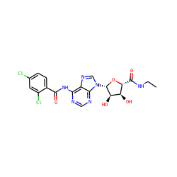 CCNC(=O)[C@H]1O[C@@H](n2cnc3c(NC(=O)c4ccc(Cl)cc4Cl)ncnc32)[C@H](O)[C@@H]1O ZINC000049018001