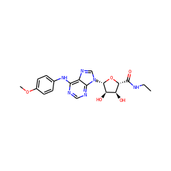 CCNC(=O)[C@H]1O[C@@H](n2cnc3c(Nc4ccc(OC)cc4)ncnc32)[C@H](O)[C@@H]1O ZINC000048998055