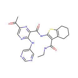 CCNC(=O)c1c(NC(=O)c2nc(C(C)=O)cnc2Nc2cncnc2)sc2c1CCCC2 ZINC000169701808