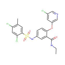 CCNC(=O)c1cc(NS(=O)(=O)c2cc(C)c(Cl)cc2Cl)ccc1Oc1cncc(Cl)c1 ZINC000095588989