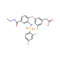 CCNC(=O)c1ccc(Oc2cc(Cl)cc(CC(=O)O)c2)c(NS(=O)(=O)c2ccc(Cl)cc2Cl)c1 ZINC000049679950