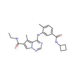CCNC(=O)c1cn2ncnc(Nc3cc(C(=O)NC4CCC4)ccc3C)c2c1C ZINC000064459341