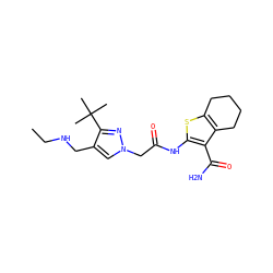 CCNCc1cn(CC(=O)Nc2sc3c(c2C(N)=O)CCCC3)nc1C(C)(C)C ZINC000064549556
