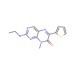 CCNc1ncc2nc(-c3cccs3)c(=O)n(C)c2n1 ZINC000004239148