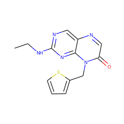CCNc1ncc2ncc(=O)n(Cc3cccs3)c2n1 ZINC000004238729