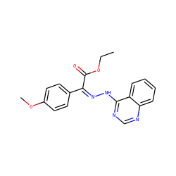 CCOC(=O)/C(=N\Nc1ncnc2ccccc12)c1ccc(OC)cc1 ZINC000009960958