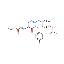 CCOC(=O)/C=C/c1cnc(Nc2ccc(OC(C)C)c(Cl)c2)n(Cc2ccc(Cl)cc2)c1=O ZINC000204095160