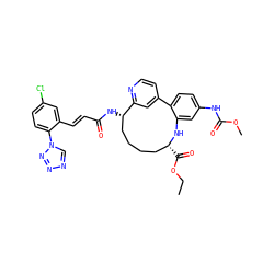 CCOC(=O)[C@@H]1CCCC[C@H](NC(=O)/C=C/c2cc(Cl)ccc2-n2cnnn2)c2cc(ccn2)-c2ccc(NC(=O)OC)cc2N1 ZINC000198834332