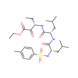 CCOC(=O)C(=O)[C@H](CC)NC(=O)[C@H](CC(C)C)NC(=O)[C@H](CC(C)C)NS(=O)(=O)c1ccc(C)cc1 ZINC000169319149