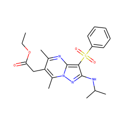 CCOC(=O)Cc1c(C)nc2c(S(=O)(=O)c3ccccc3)c(NC(C)C)nn2c1C ZINC000169699842