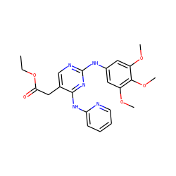 CCOC(=O)Cc1cnc(Nc2cc(OC)c(OC)c(OC)c2)nc1Nc1ccccn1 ZINC000036348573