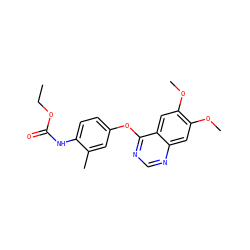 CCOC(=O)Nc1ccc(Oc2ncnc3cc(OC)c(OC)cc23)cc1C ZINC000473145140