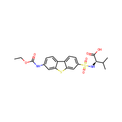 CCOC(=O)Nc1ccc2c(c1)sc1cc(S(=O)(=O)N[C@@H](C(=O)O)C(C)C)ccc12 ZINC000043120102