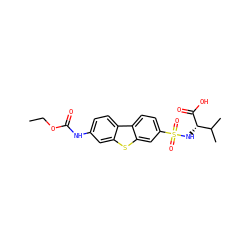 CCOC(=O)Nc1ccc2c(c1)sc1cc(S(=O)(=O)N[C@H](C(=O)O)C(C)C)ccc12 ZINC000043120101