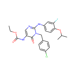CCOC(=O)Nc1cnc(Nc2ccc(OC(C)C)c(F)c2)n(Cc2ccc(Cl)cc2)c1=O ZINC000204092359