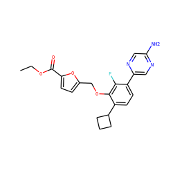 CCOC(=O)c1ccc(COc2c(C3CCC3)ccc(-c3cnc(N)cn3)c2F)o1 ZINC000224578185