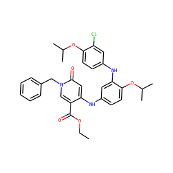 CCOC(=O)c1cn(Cc2ccccc2)c(=O)cc1Nc1ccc(OC(C)C)c(Nc2ccc(OC(C)C)c(Cl)c2)c1 ZINC000204090297