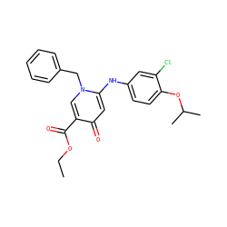 CCOC(=O)c1cn(Cc2ccccc2)c(Nc2ccc(OC(C)C)c(Cl)c2)cc1=O ZINC000204090011