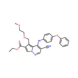 CCOC(=O)c1cn2ncc(C#N)c(Nc3ccc(Oc4ccccc4)cc3)c2c1COCCOC ZINC000028568057