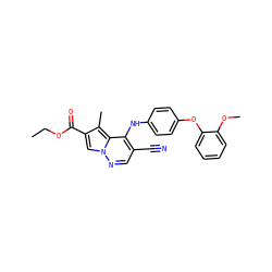 CCOC(=O)c1cn2ncc(C#N)c(Nc3ccc(Oc4ccccc4OC)cc3)c2c1C ZINC000028567951