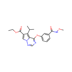 CCOC(=O)c1cn2ncnc(Oc3cccc(C(=O)NOC)c3)c2c1C(C)C ZINC000013645246