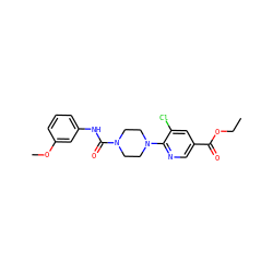 CCOC(=O)c1cnc(N2CCN(C(=O)Nc3cccc(OC)c3)CC2)c(Cl)c1 ZINC000071294459