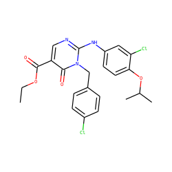 CCOC(=O)c1cnc(Nc2ccc(OC(C)C)c(Cl)c2)n(Cc2ccc(Cl)cc2)c1=O ZINC000221182056