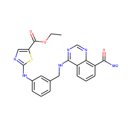 CCOC(=O)c1cnc(Nc2cccc(CNc3ncnc4c(C(N)=O)cccc34)c2)s1 ZINC000114345386