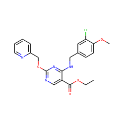 CCOC(=O)c1cnc(OCc2ccccn2)nc1NCc1ccc(OC)c(Cl)c1 ZINC000140140546