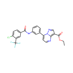 CCOC(=O)c1cnn2c(-c3cccc(NC(=O)c4ccc(Cl)c(C(F)(F)F)c4)c3)ccnc12 ZINC000043119980
