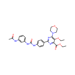 CCOC(=O)c1nc(-c2ccc(NC(=O)Nc3cccc(NC(C)=O)c3)cc2)nc(N2CCOCC2)c1OCC ZINC000118173752