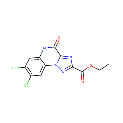 CCOC(=O)c1nc2c(=O)[nH]c3cc(Cl)c(Cl)cc3n2n1 ZINC000013798613