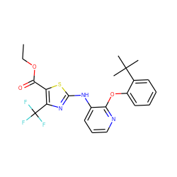 CCOC(=O)c1sc(Nc2cccnc2Oc2ccccc2C(C)(C)C)nc1C(F)(F)F ZINC000096272812