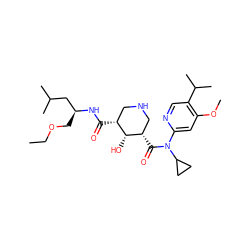CCOC[C@@H](CC(C)C)NC(=O)[C@@H]1CNC[C@H](C(=O)N(c2cc(OC)c(C(C)C)cn2)C2CC2)[C@@H]1O ZINC000143793771