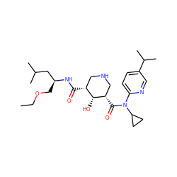 CCOC[C@@H](CC(C)C)NC(=O)[C@@H]1CNC[C@H](C(=O)N(c2ccc(C(C)C)cn2)C2CC2)[C@@H]1O ZINC000098208350