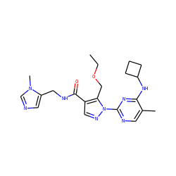 CCOCc1c(C(=O)NCc2cncn2C)cnn1-c1ncc(C)c(NC2CCC2)n1 ZINC000096273272