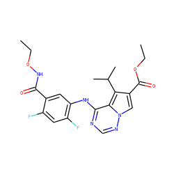 CCONC(=O)c1cc(Nc2ncnn3cc(C(=O)OCC)c(C(C)C)c23)c(F)cc1F ZINC000013645269