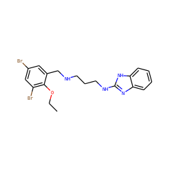 CCOc1c(Br)cc(Br)cc1CNCCCNc1nc2ccccc2[nH]1 ZINC000028337760