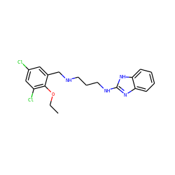 CCOc1c(Cl)cc(Cl)cc1CNCCCNc1nc2ccccc2[nH]1 ZINC000028361112