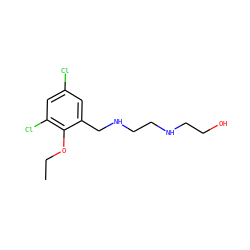 CCOc1c(Cl)cc(Cl)cc1CNCCNCCO ZINC000019370680