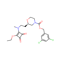 CCOc1c(N(C)CC[C@@H]2CN(C(=O)OCc3cc(Cl)cc(Cl)c3)CCO2)c(=O)c1=O ZINC000209582390