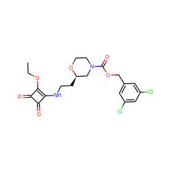 CCOc1c(NCC[C@@H]2CN(C(=O)OCc3cc(Cl)cc(Cl)c3)CCO2)c(=O)c1=O ZINC000150311787