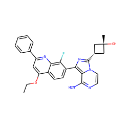 CCOc1cc(-c2ccccc2)nc2c(F)c(-c3nc([C@H]4C[C@@](C)(O)C4)n4ccnc(N)c34)ccc12 ZINC000261171687